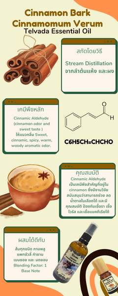 Cinnamon หรือ อบเชย มีคุณสมบัติอย่างไร