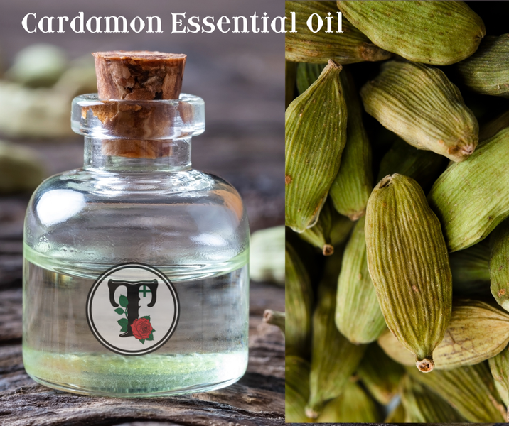 เติมความสุขให้ชีวิตด้วยน้ำมันหอมระเหยกระวานเทศ cardamon essential oil