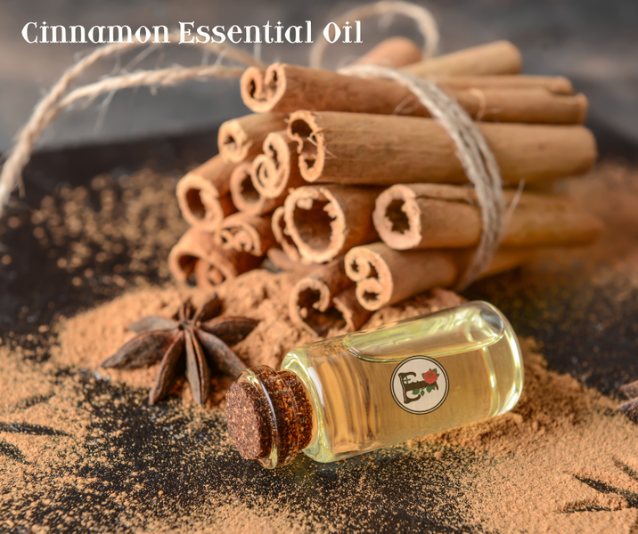 ค้นพบคุณประโยชน์อันอบอุ่นน่าอัศจรรย์ของน้ำมันหอมระเหยอบเชย Cinnamon Essential Oil