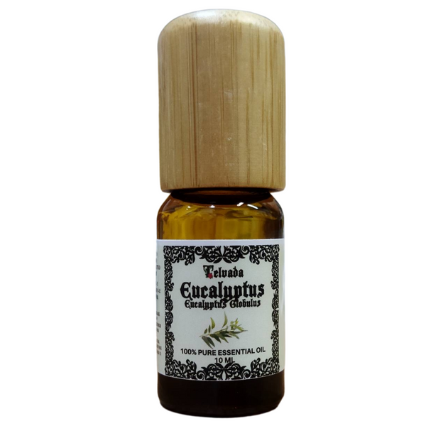 สรรพคุณของน้ำมันหอมระเหย ยูคาลิปตัส Eucalyptus Essential Oil Benefits