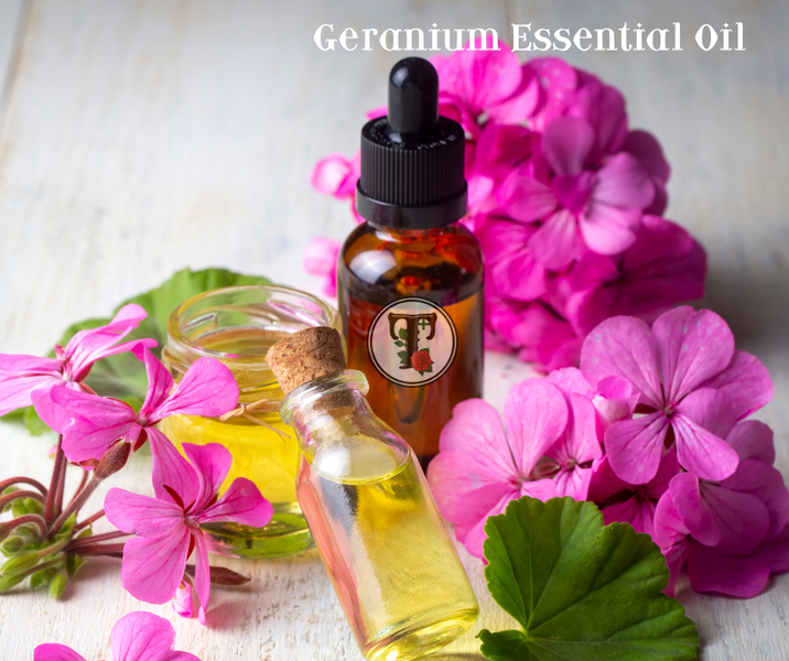 เปิดรับความสมดุลแห่งพฤกษา: ค้นพบความงามของน้ำมันหอมระเหย ดอกเจอเรเนียม Geranium Essential Oil