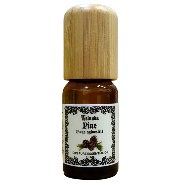 คุณสมบัติของน้ำมันหอมระเหยต้นสนไพน์ Pine Essential Oil