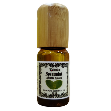 spearmint telvada essential oils