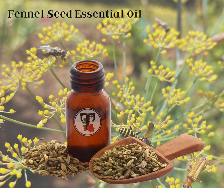 ประโยชน์ของน้ำมันหอมระเหยเมล็ดเฟนเนล Fennel seed essential oil benefits