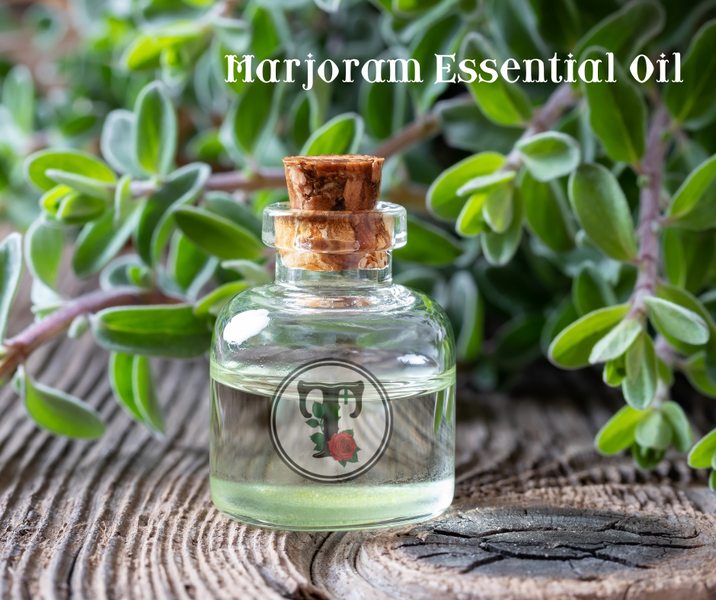 ประโยชน์อันน่าทึ่งของน้ำมันหอมระเหยมาร์โจแรม Marjoram Essential Oil Benefits