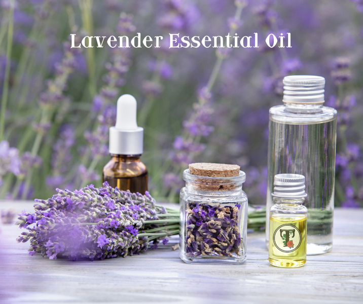 ประโยชน์มหัศจรรย์ของน้ำมันหอมระเหยลาเวนเดอร์ Lavender Essential Oil Benefits