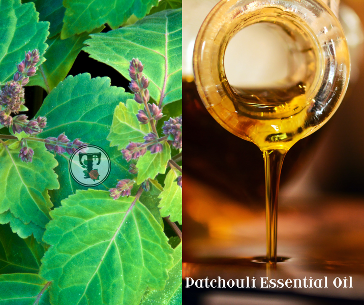 ประโยชน์ของน้ำมันหอมระเหยแพชชูลี่ Patchouli Essential Oil