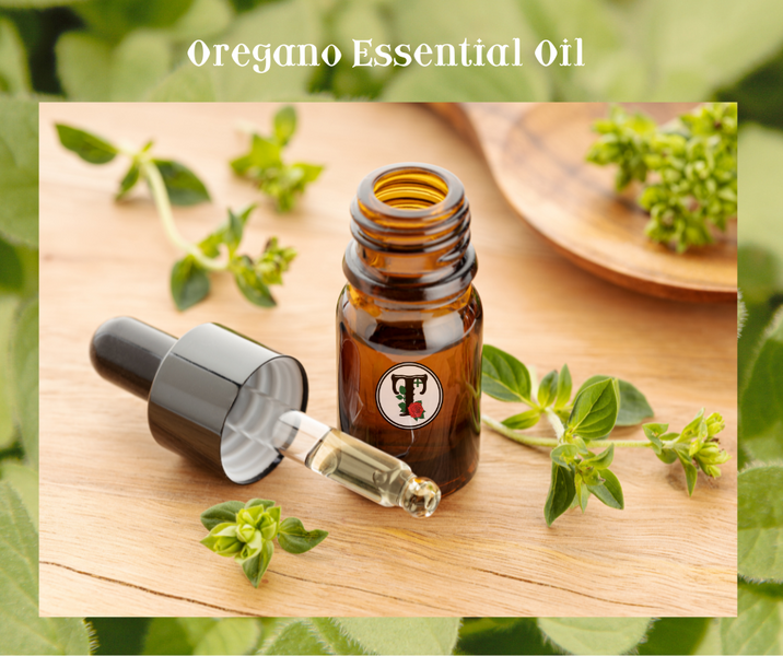 ประโยชน์ของน้ำมันหอมระเหย ออริกาโน่ Oregano Essential Oil Benefits