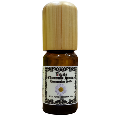 chamomile roman telvada essential oils